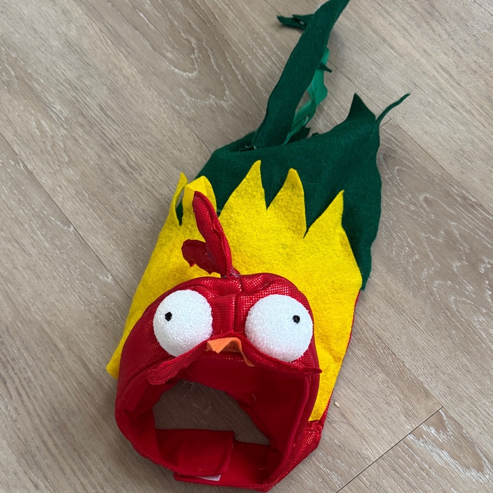 Homemade Heihei Moana Costume for Small Dog